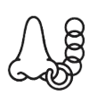 Nas Icon